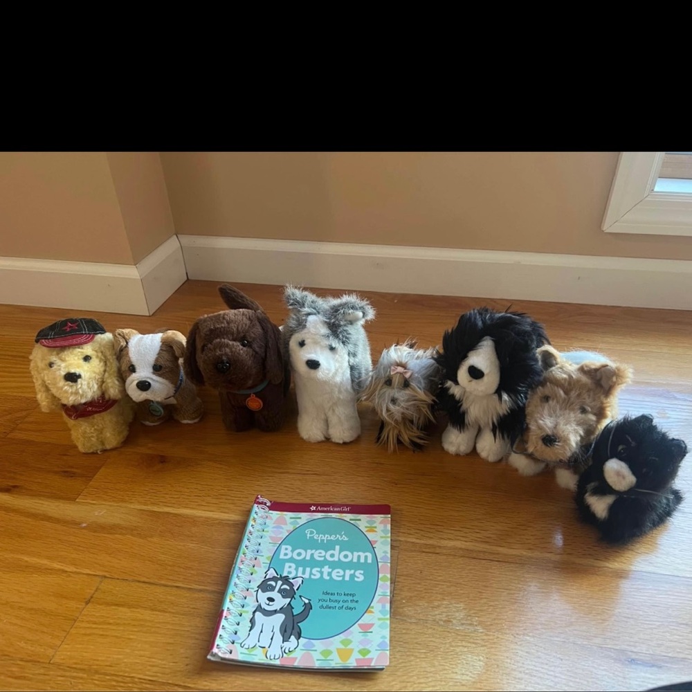 American girl dog dogs
